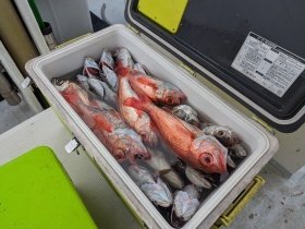 アカムツ