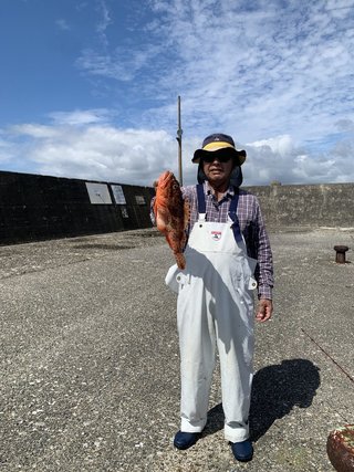 メダイ