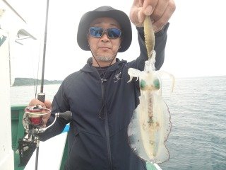 アオリ