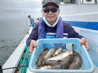 ショウサイフグ
