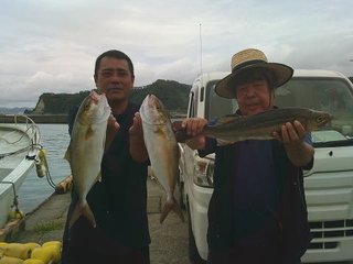 コアジ