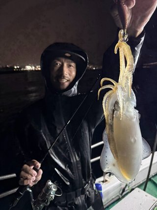 アオリイカ