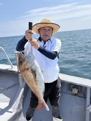 マダイ