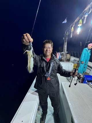アオリ