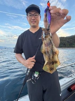 アオリイカ
