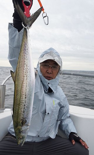 サワラ