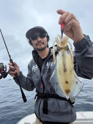 アオリイカ