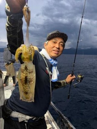 アオリイカ