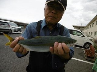アジ