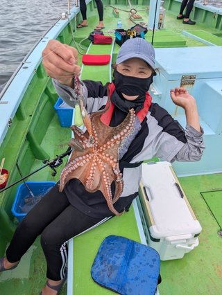 マダコ