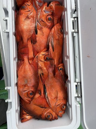 アジ