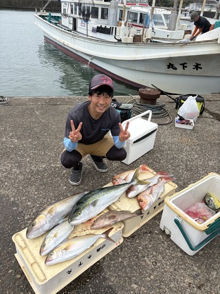 カンパチ