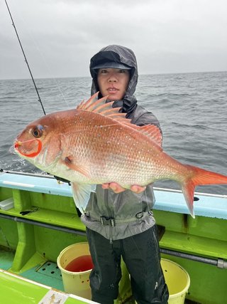 マダイ