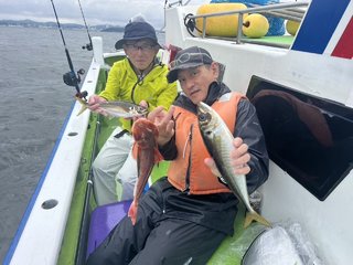 アジ