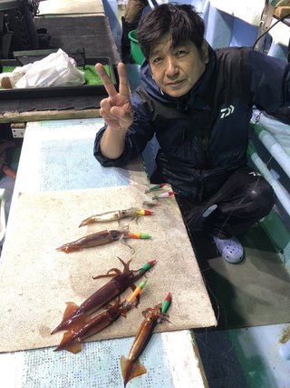 スジイカ