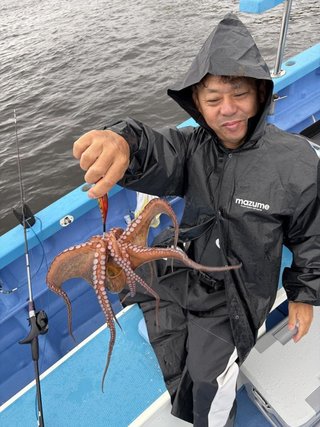 マダコ