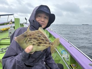 カワハギ