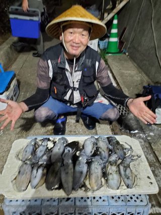 アオリイカ