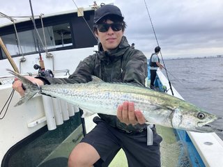 サワラ