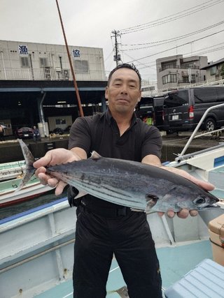 カツオ