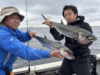 サワラ
