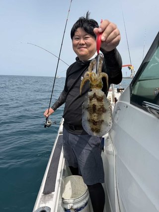 アオリイカ