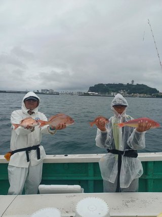 マダイ