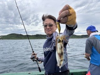 アオリ