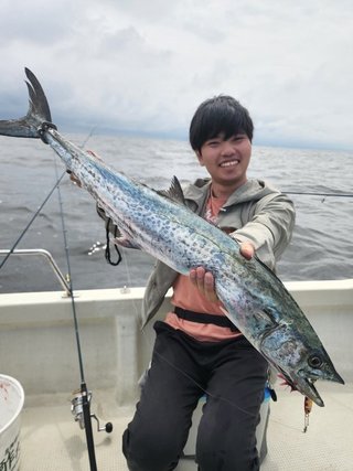 サワラ