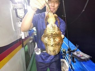アオリイカ