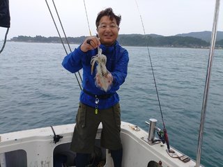 アオリ