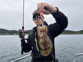 アオリイカ