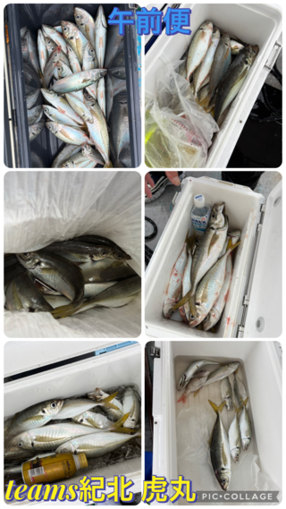 アジ