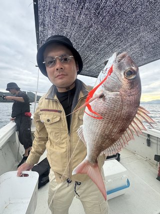 マダイ