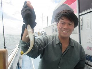 シロギス