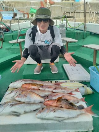 アオリイカ