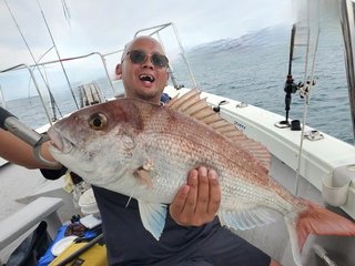マダイ