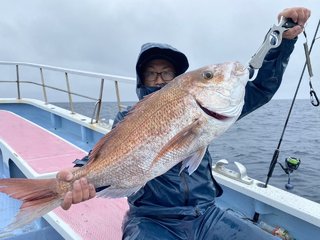 マダイ