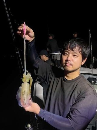 アオリ