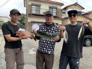 アジ