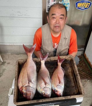 マダイ