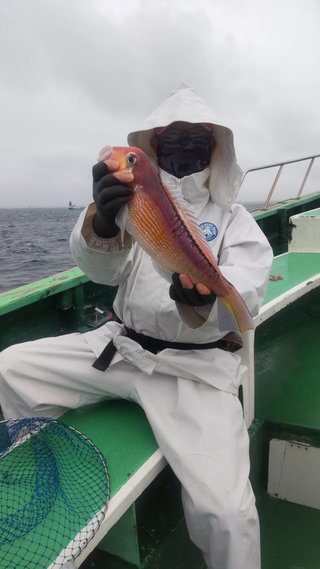 アマダイ