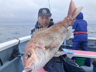 マダイ