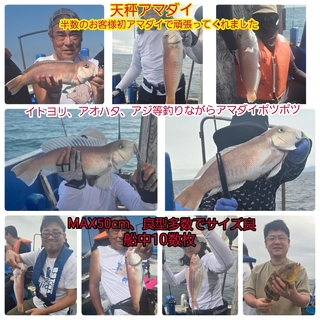 シロアマダイ