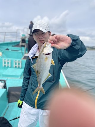 シイラ