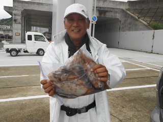 スルメイカ