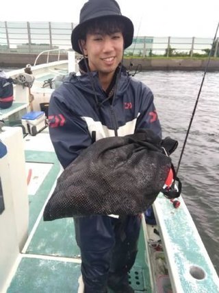 マダコ