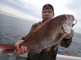マダイ