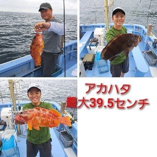アカハタ