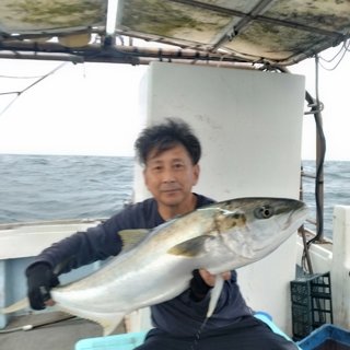 ヒラマサ